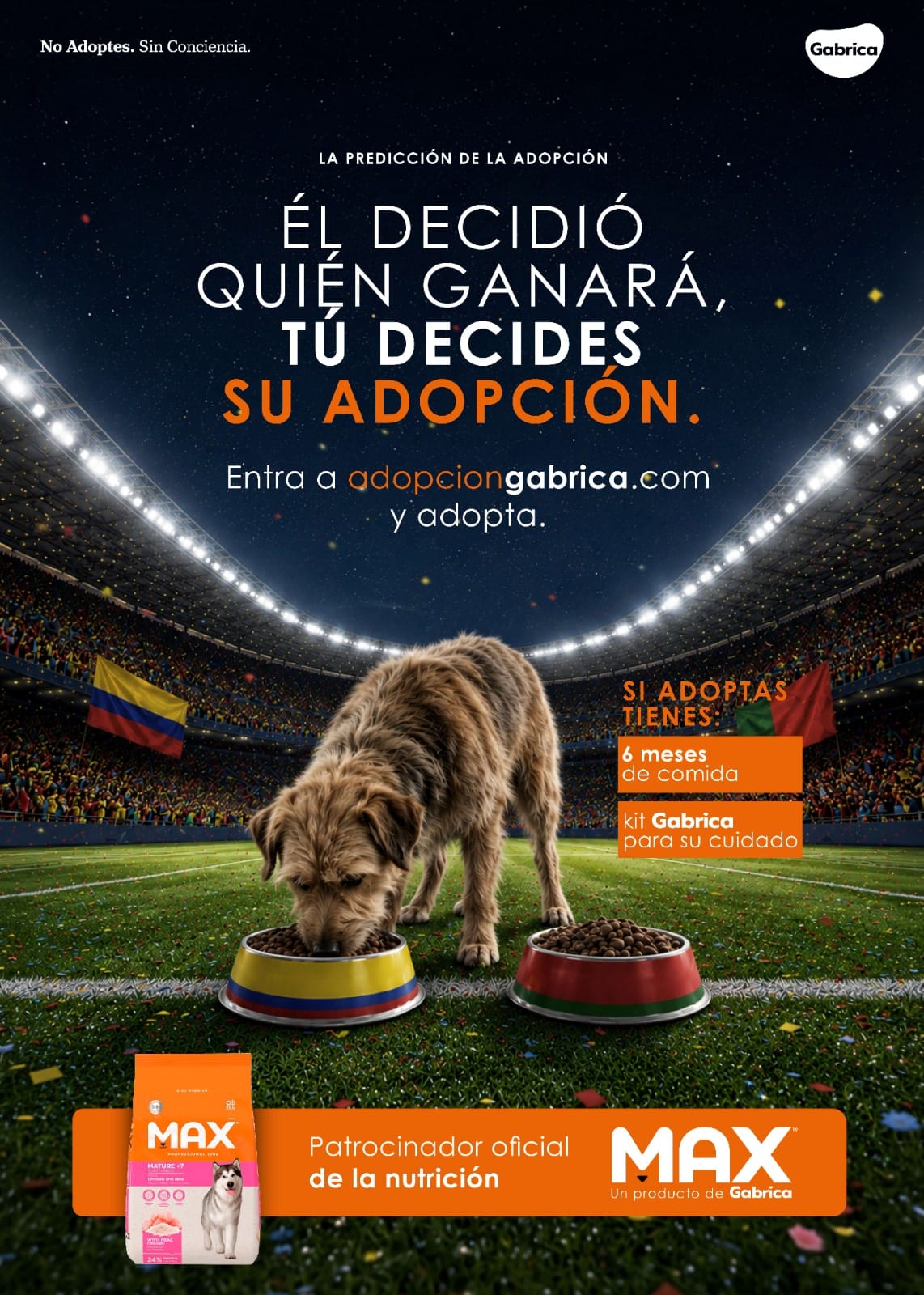 Más de 400 perros buscan hogar durante el Mundial en una campaña que une fútbol y adopción responsable