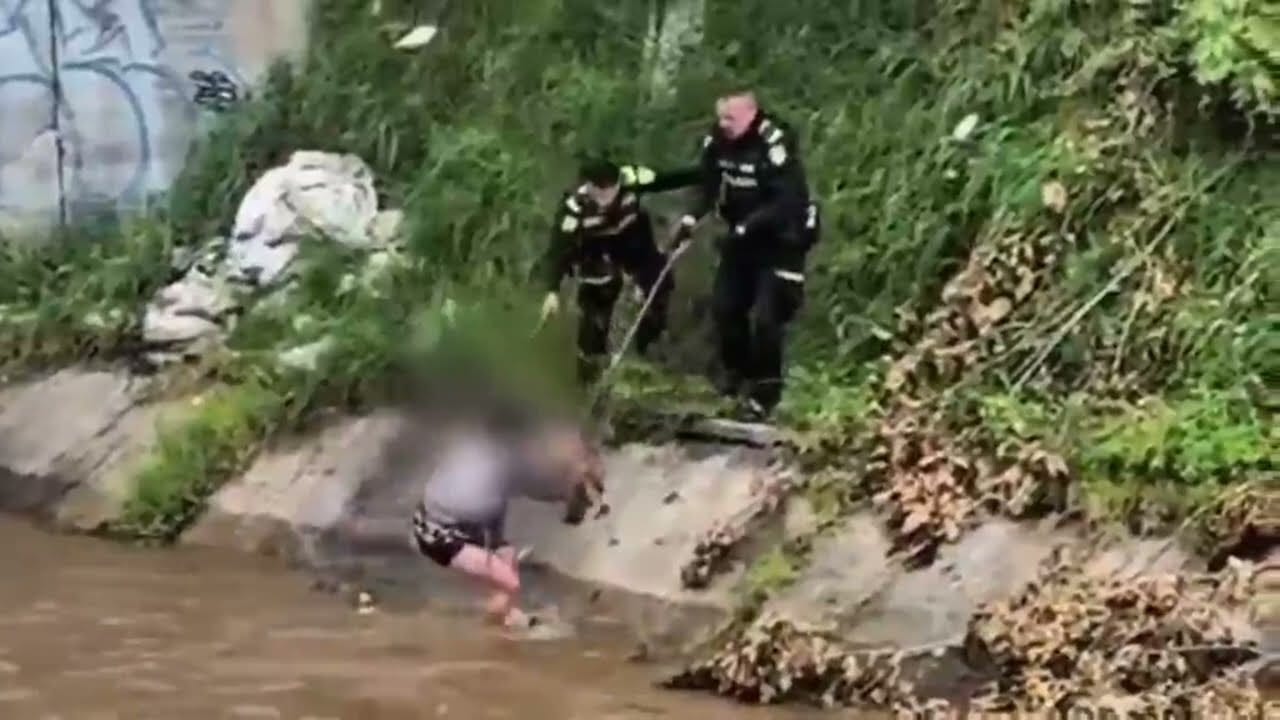 Conductor ebrio huyó de la Policía, cayó a un pantano y fue atacado por un caimán