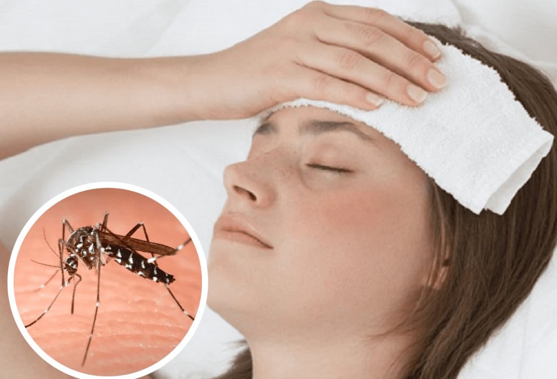 Secretaría de Salud lanza urgente advertencia por propagación del dengue