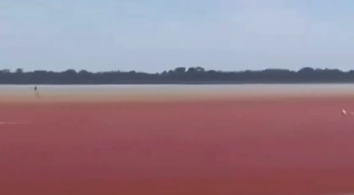 Ciénaga El Llanito se tiñó  de 'rojo sangre' en Barrancabermeja