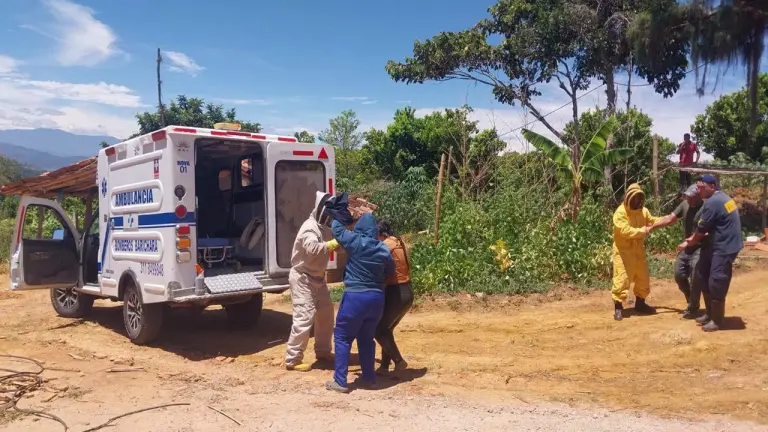 Padre e hija sobrevivieron a feroz ataque de abejas mientras caminaban por una vía rural de Barichara