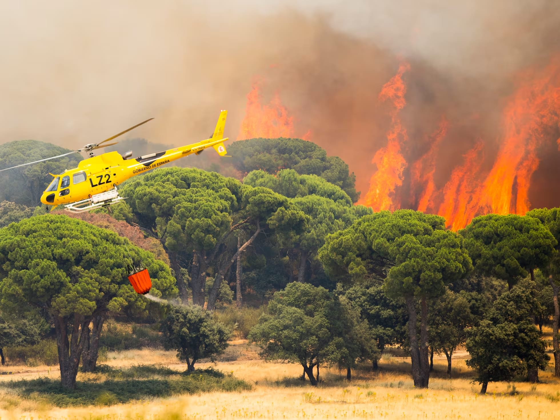 España enfrenta una catástrofe histórica: incendios forestales ya arrasaron decenas de miles de hectáreas
