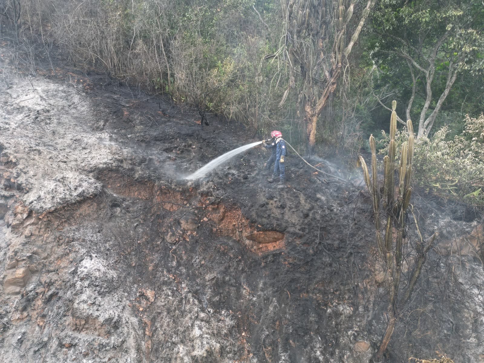 Bomberos de Floridablanca controlaron incendio forestal que amenazaba conjunto residencial en Girón