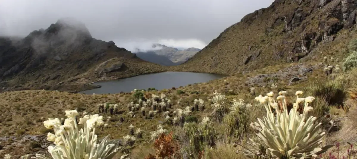 Ministerio de Ambiente deja en firme áreas de reserva en Santurbán y refuerza protección del ecosistema hasta 2029