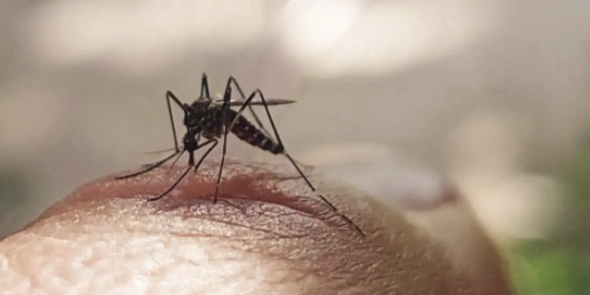 Colombia podría estar registrando hasta 25 veces más casos de dengue de los reportados oficialmente