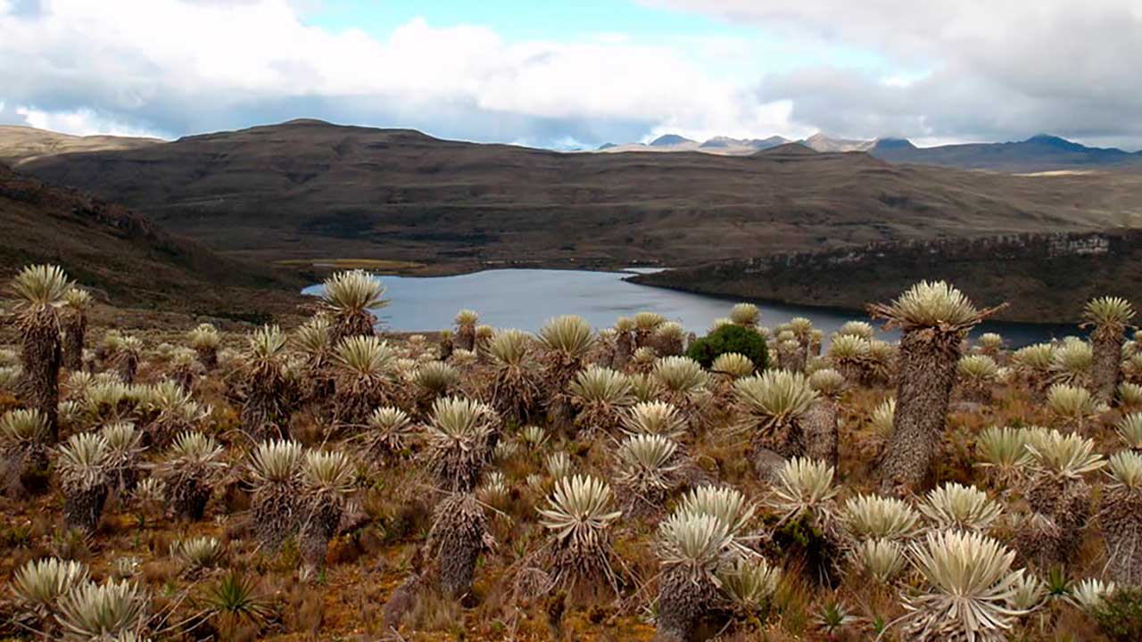 Colombia tiene el páramo más grande del mundo y así se prepara el gobierno para protegerlo