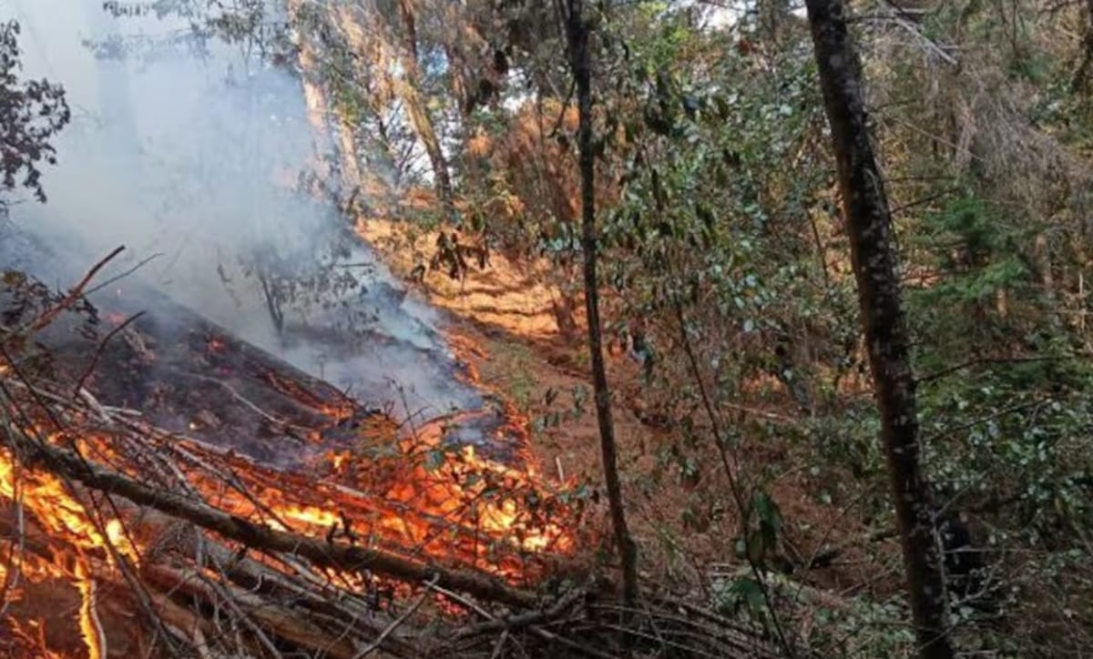 Dominado y extinguido incendio forestal en Charta, Santander