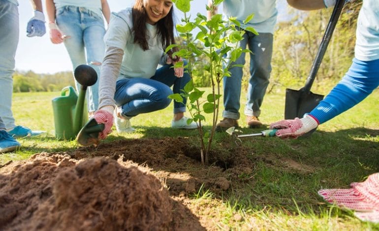 Barrancabermeja impulsa reforestación para mitigar los efectos del fenómeno de El Niño
