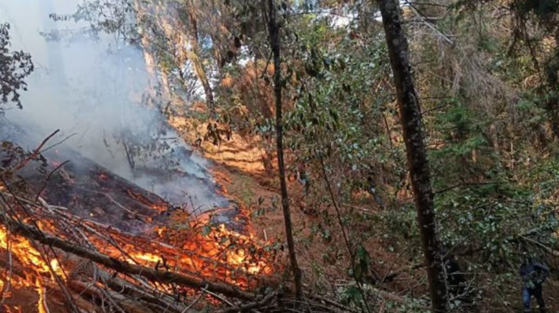 Redoblado el trabajo de los Bomberos en Bucaramanga por incendios forestales