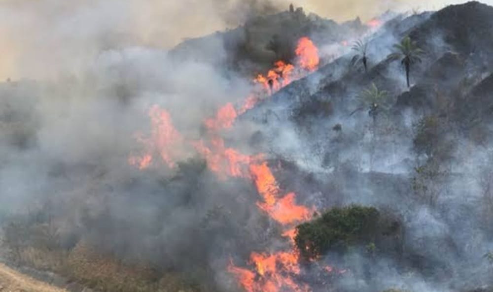 Bomberos de Bucaramanga reporta varios incendios forestales atendidos por día