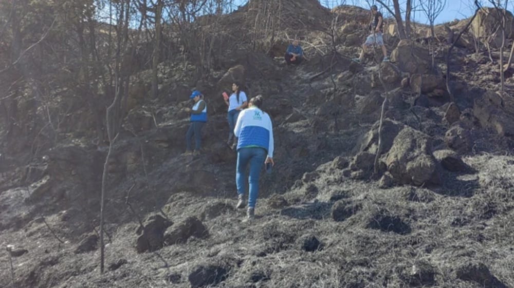 Condiciones secas asociadas al fenómeno de El Niño tienen en apuros a Santander