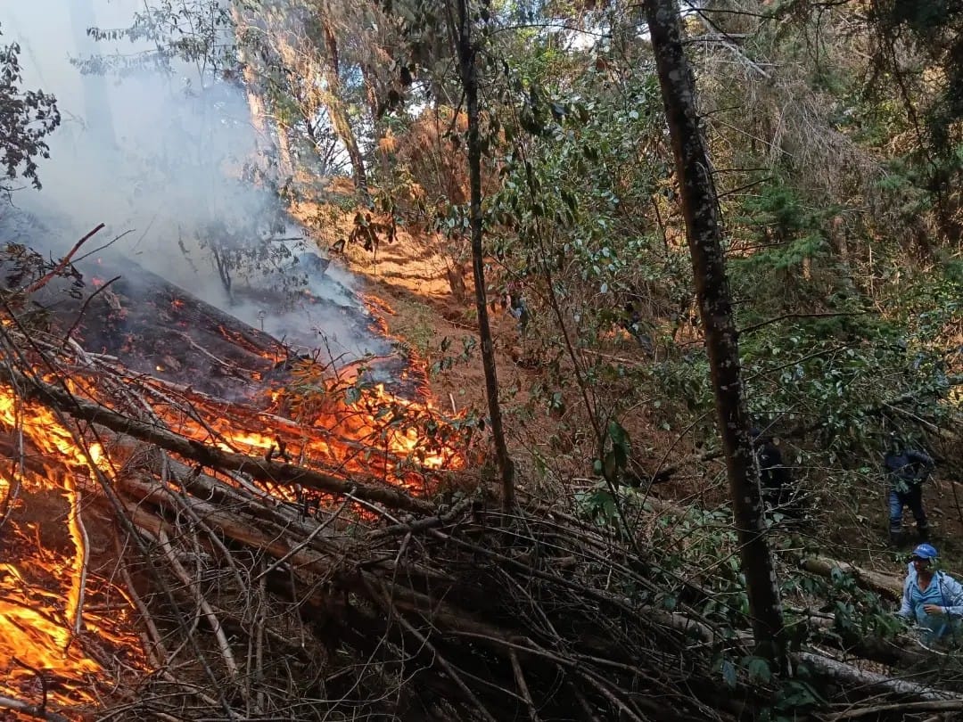 Incendio de grandes proporciones consume el bosque de la vereda Pantanos en Charta