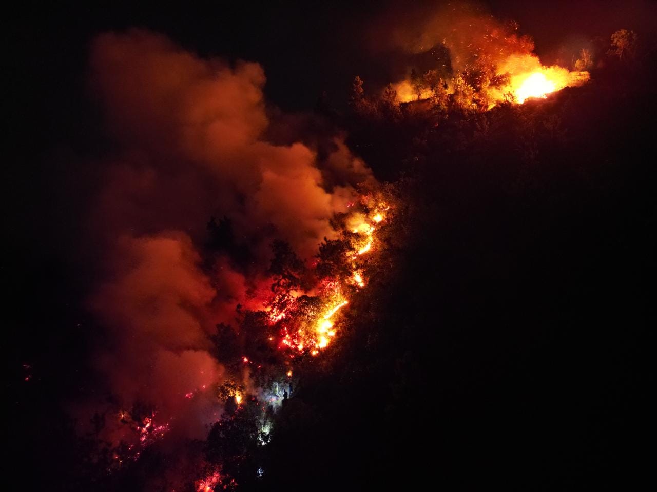 Bomberos de Floridablanca controlaron incendio en zona protegida de Girón