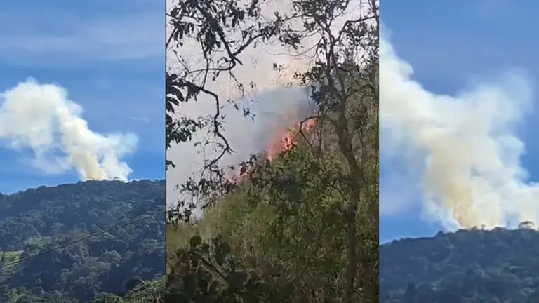 Incendio forestal lleva cinco días fuera de control en Matanza: fuego ya consumió 15 hectáreas