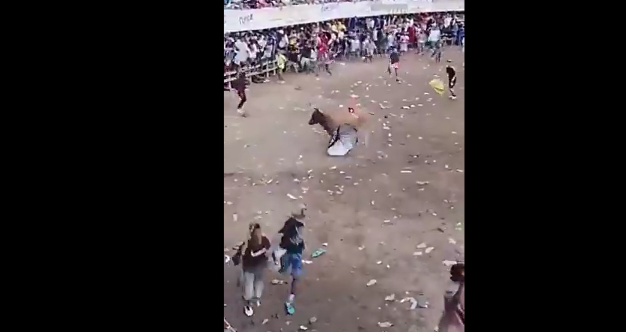 VIDEO | Intentó atacar a un toro y terminó gravemente herido en una corraleja
