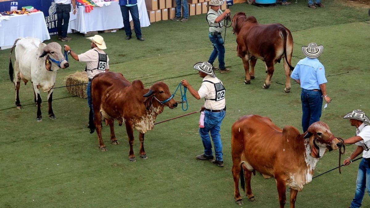 Feria ganadera con diez días de programación durante su versión 76 en CENFER