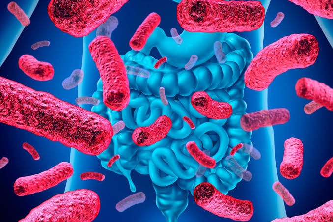 ¿Se siente inflamado sin razón? La disbiosis intestinal podría estar detrás de algunas molestias digestivas