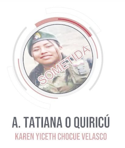 Una guerrillera de las FARC se entregó a las autoridades Se trata de Karen Chocuè