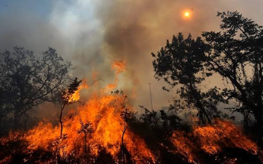 Incendios forestales en Santurbán se reavivaron y causan preocupación