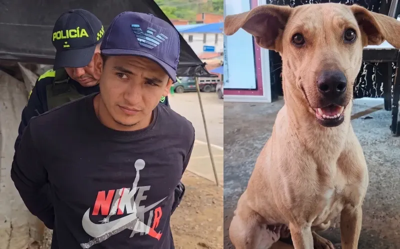 Indignación: Asesino de Kira no estará tras las rejas ¿qué opina?