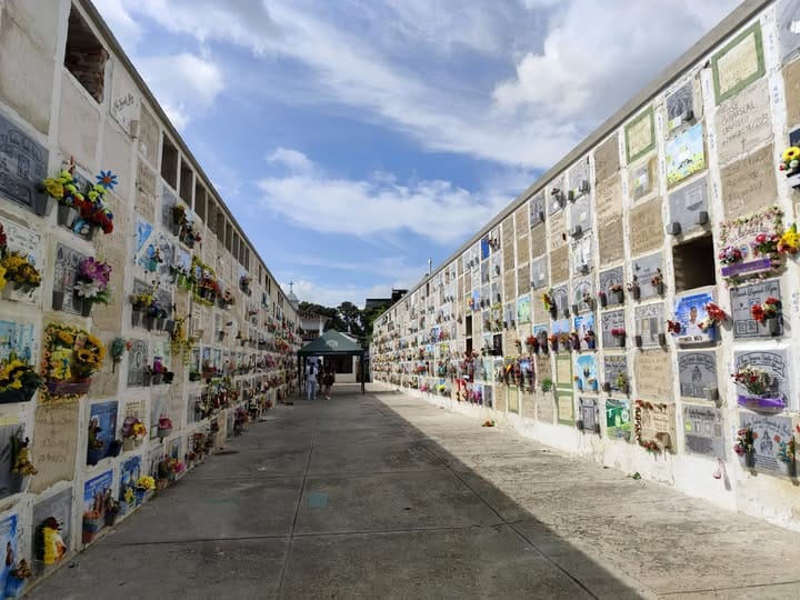 Cadáveres de niños mellizos desaparecieron de sus tumbas en Bucaramanga