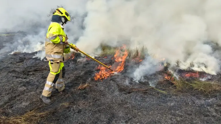 Consumidas por incendio forestal 10 hectáreas de vegetación en Puerto Parra, Santander