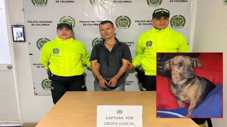 Indignación en Santander: judicializan a hombre señalado de abusar sexualmente de una perrita