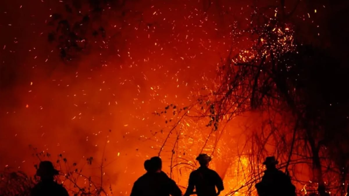 Incendios destruyeron 662 hectáreas en Santander