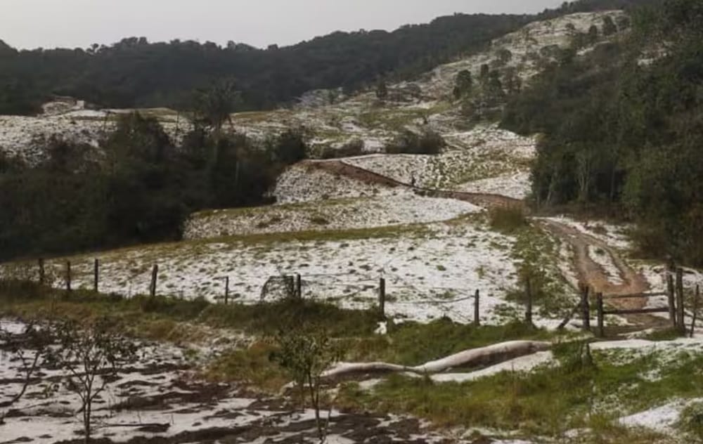Granizada destruye cultivos y causa daños en zona rural de Guaca, Santander