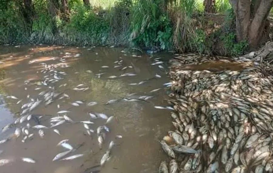 EMPAS buscare cursos a nivel nacional para descontaminar la cuenca del río Lebrija
