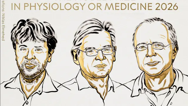 Nobel de Medicina reconoce a tres científicos por el uso de la luz para estudiar el cerebro