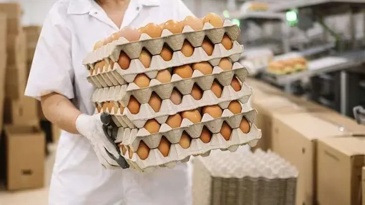 Avicultores de Santander se suman a donación de un millón de huevos en Colombia