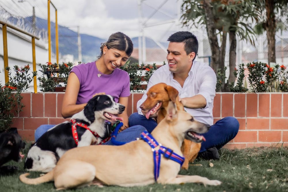 Instituir el bienestar animal, propósito de Fabián Oviedo en Bucaramanga imagen de la publicación