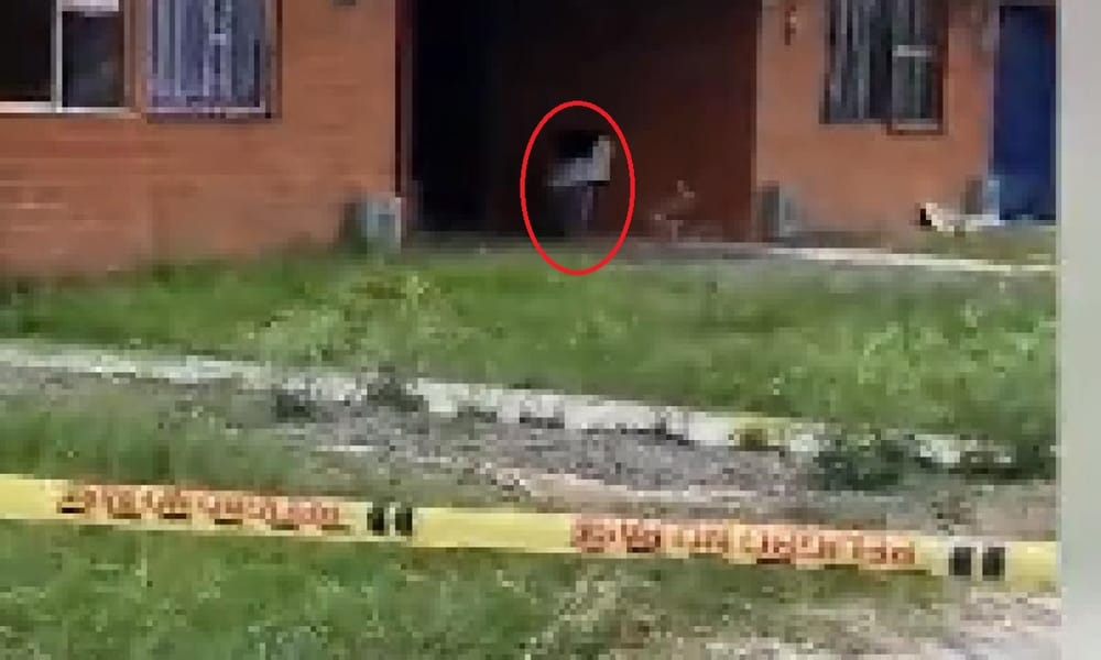 Asesinan a una mujer de 60 años y el cuerpo fue abandonado en un carro de mercado imagen de la publicación
