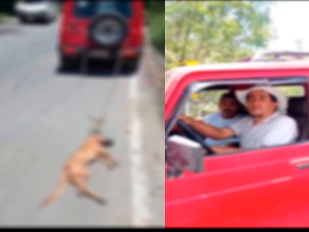 Hombre arrastró cadáver de perro en la vía que comunica Barbosa con Guepsa imagen de la publicación