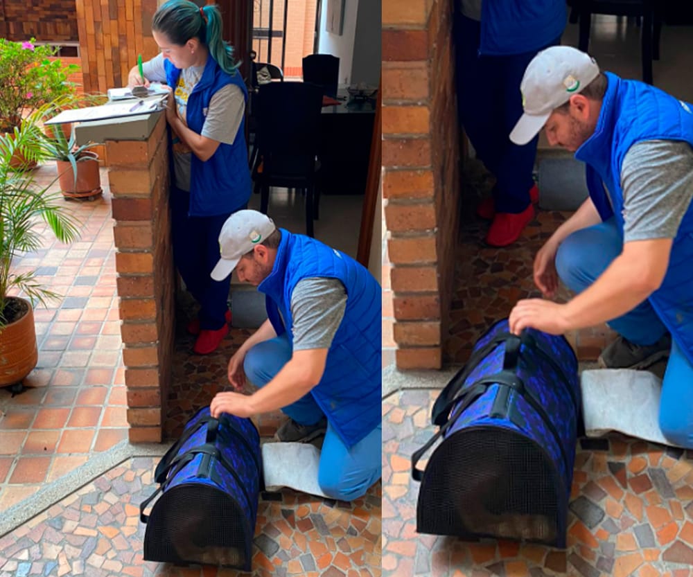 Maltrato animal publicado por El Frente terminó en rescate imagen de la publicación