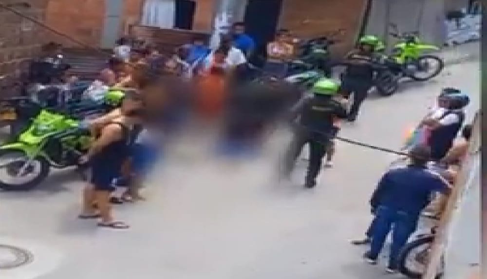 Una gorra desató la  muerte en Provenza imagen de la publicación