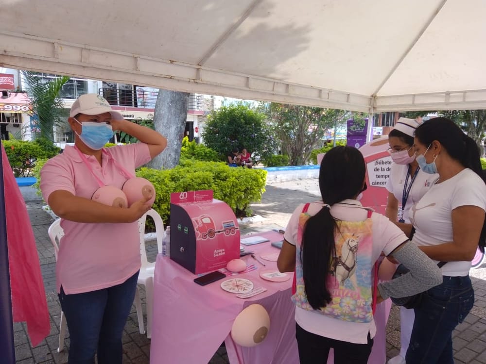 Lucha contra el Cáncer de Mama: en el área metropolitana aumentan los casos imagen de la publicación