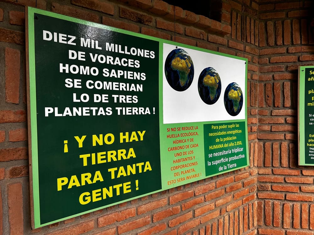 MUCAF. El Museo que día a día lucha por el cuidado del cambio climático imagen de la publicación