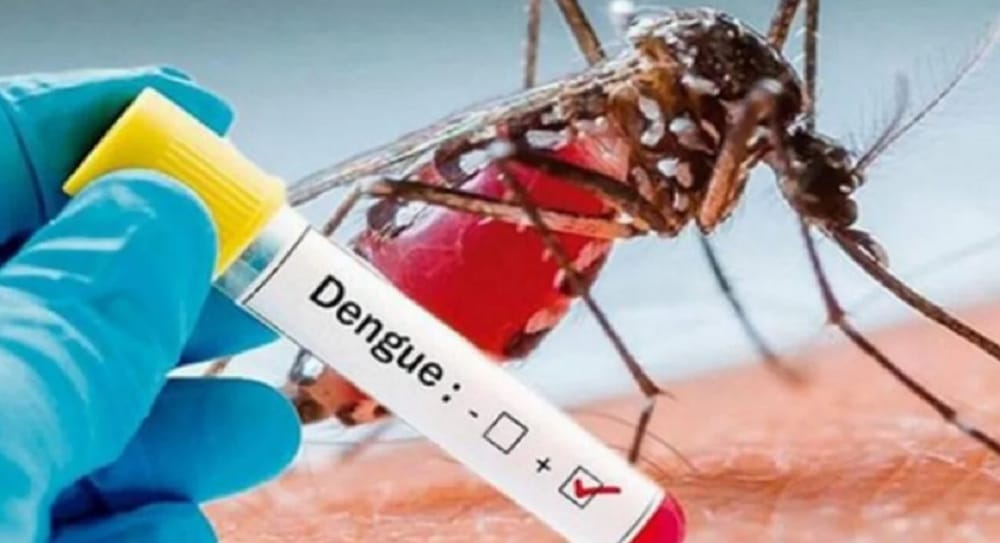 Aumentan casos de dengue en Santander y en Bucaramanga se reportan 2.567 personas contagiadas imagen de la publicación
