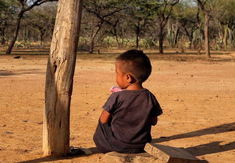Entidades del Estado y territoriales le fallaron a niños wayúu fallecidos por desnutrición imagen de la publicación