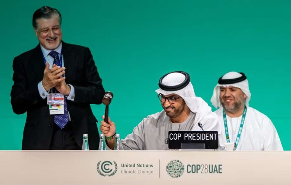Principales logros y vacíos del acuerdo que sellaron en la COP28 imagen de la publicación