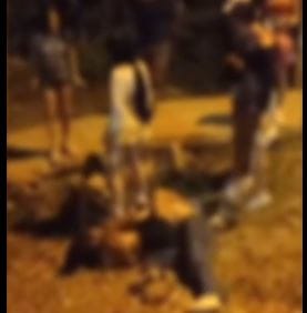 Niñas estarían armando peleas callejeras para viralizarse en redes sociales imagen de la publicación
