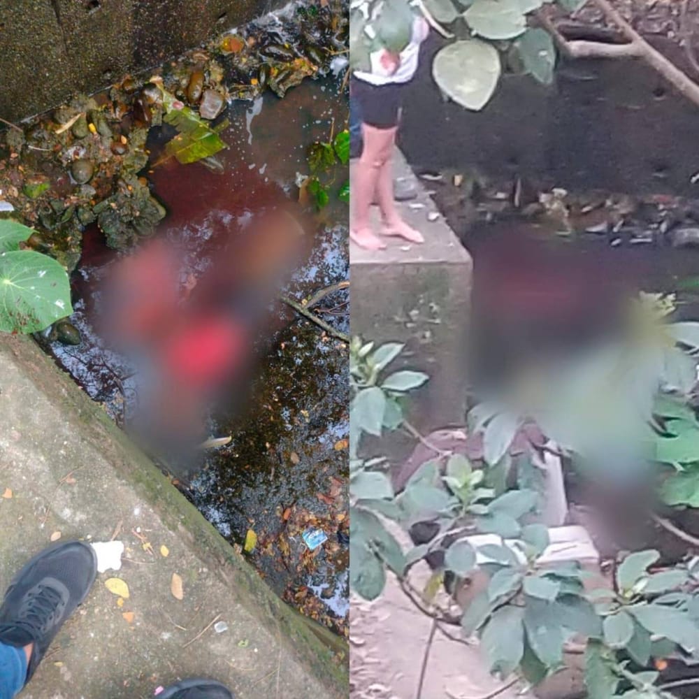 En una cañada arrojaron dos cuerpos en Floridablanca imagen de la publicación