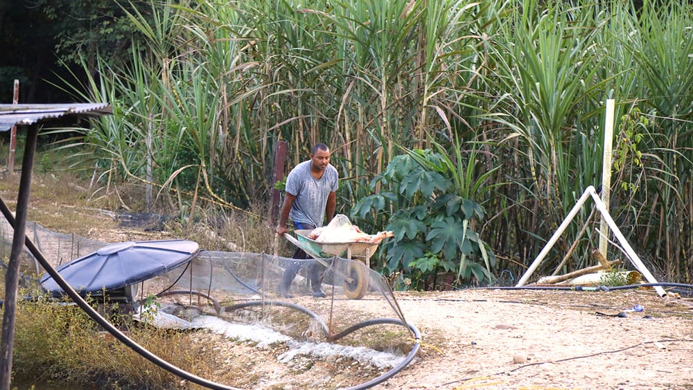 Entregadas más de 1.700 hectáreas a campesinos firmantes de paz de Santander imagen de la publicación
