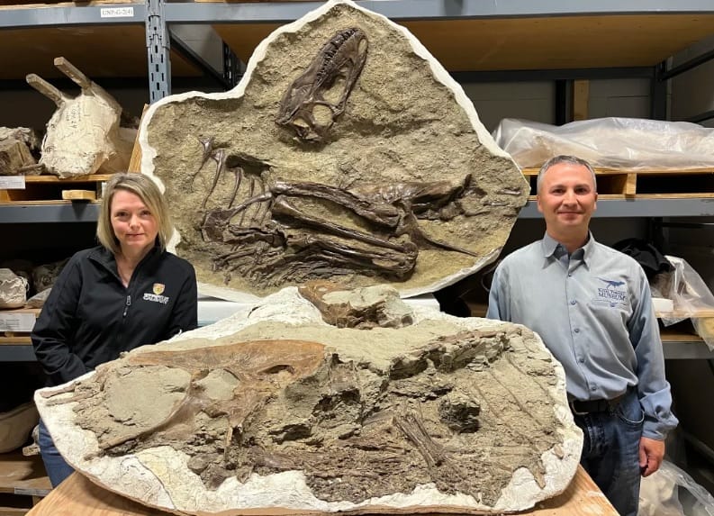 Descubren la última comida de un tiranosaurio perfectamente conservada imagen de la publicación