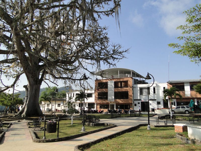 La odisea del agua potable y el impacto de ‘El Niño’ en San Benito imagen de la publicación