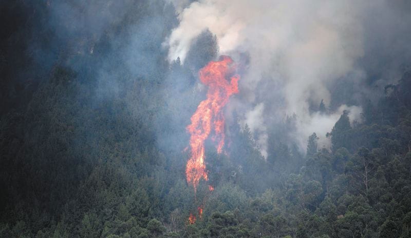Alerta sobre riesgo de incendios en la Amazonía y el Pacífico imagen de la publicación