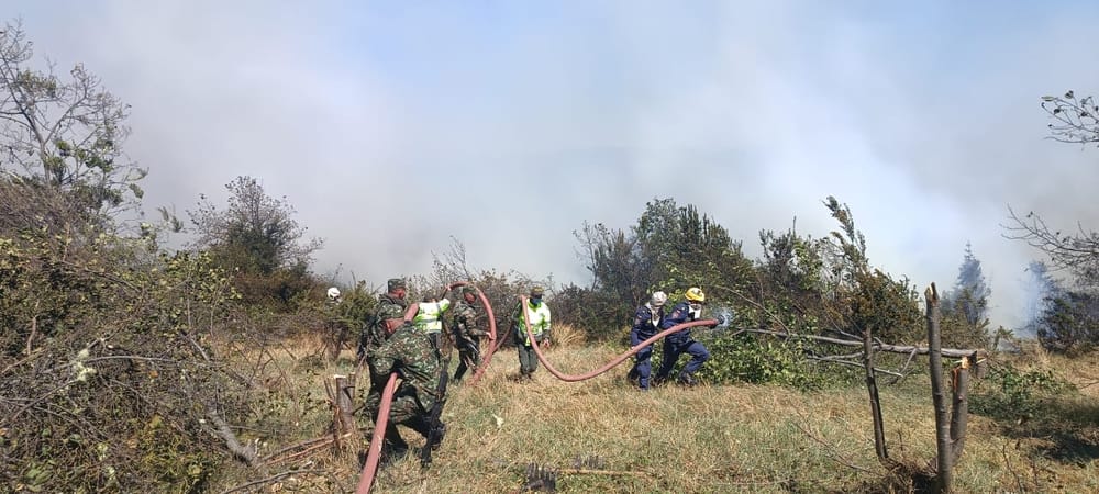 Arde el páramo de Berlín en Santander imagen de la publicación