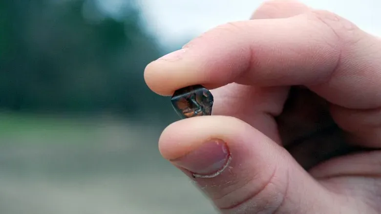 Turista encuentra diamante de 7 quilates en un parque imagen de la publicación